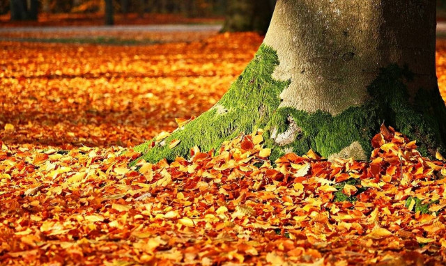 Φθινόπωρο: Ήρθε και επίσημα - Σιγά σιγά μικραίνει η μέρα 