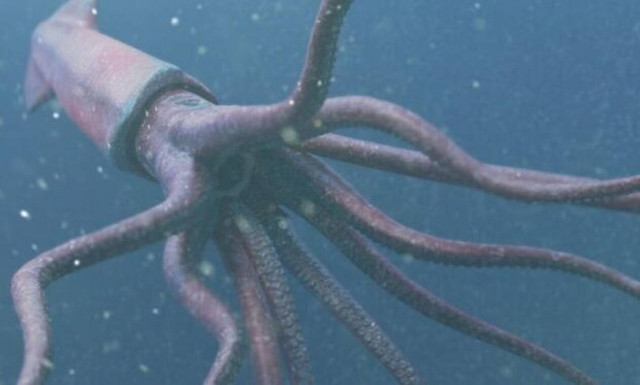 Κάμερα κατέγραψε καλαμάρι-τέρας στα 750 μέτρα βάθος!