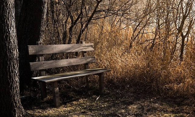 Εύβοια: Κάθισε να ξεκουραστεί στο παγκάκι και όταν κατάλαβε τι συμβαίνει ούρλιαξε