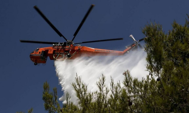 Εύβοια: Υπό έλεγχο η πυρκαγιά