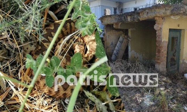 Πύργος: «Τρόμος» στο κέντρο της πόλης - Τι καταγγέλουν οι κάτοικοι