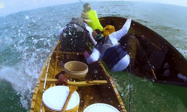 Βίντεο που κόβει την ανάσα: Καρχαρίας επιτίθεται σε ψαράδες! 