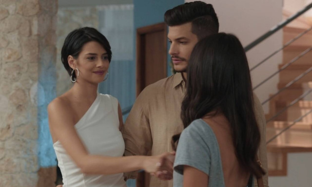 Αστέρια στην άμμο: Η απόγνωση φέρνει αναπάντεχες εξελίξεις (Photos)