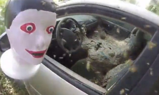 Έβαλε μια κούκλα σε ΙΧ με εκατομμύρια σφήκες και δείτε τι έγινε! (vid)