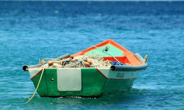 Τραγωδία: Πήγε για ψάρεμα, τον δάγκωσε θαλάσσιο φίδι και πέθανε (pics)