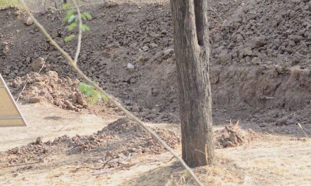 Η φωτογραφία που τρελαίνει: Μπορείς να βρεις πού είναι η λεοπάρδαλη; (pics)