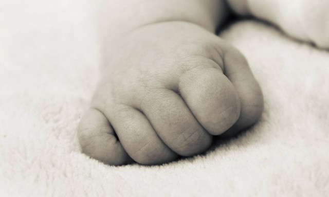 «Θρίλερ»: Νεογέννητο βρέθηκε κάτω από γέφυρα - Ήταν γεμάτο τσιμπήματα από μυρμήγκια