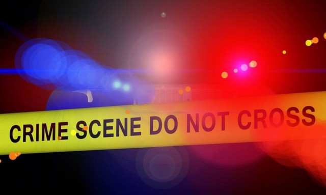 Ήρωας 15χρονος: Πάλεψε με ληστή και θυσιάστηκε για να σώσει την αδερφή του (vid)