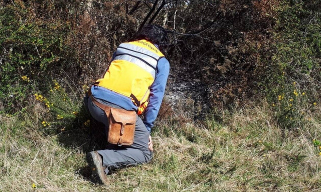 Βιβλικές εικόνες στην Χιλή: Έβρεξε... φωτιά! (pics)