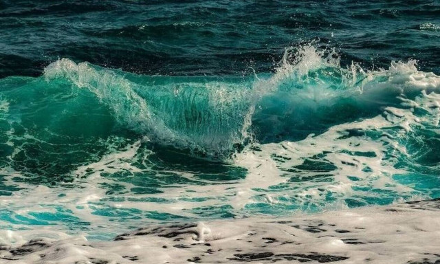 Καβάλα: Έπαθαν σοκ με αυτό που ψάρεψαν - «Πάγωσαν» όλοι στο λιμάνι