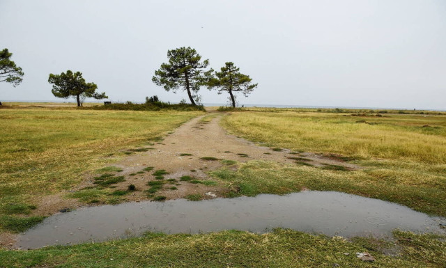 Weather forecast: Partly cloudy on Friday (11/10/2019)