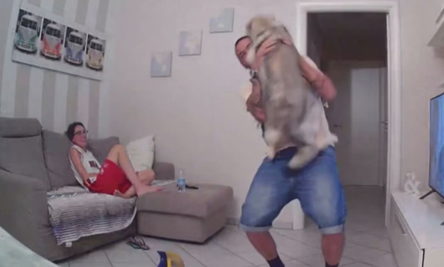 Σκύλος βλέπει το αφεντικό του και παθαίνει… παράκρουση!