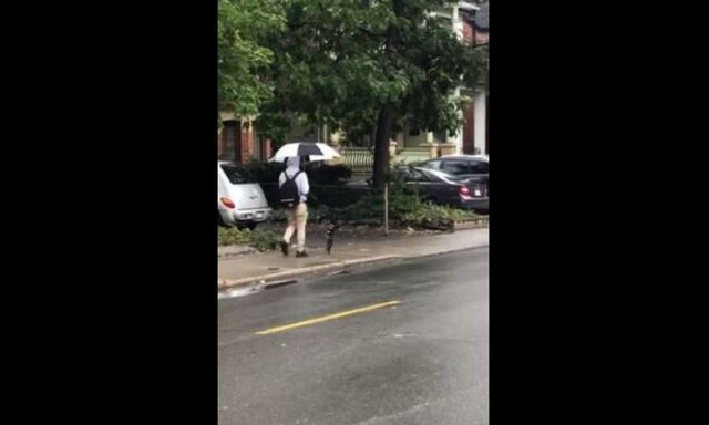 Βγήκε βόλτα με το σκύλο του και χάζεψε όλη η γειτονιά! (vid)