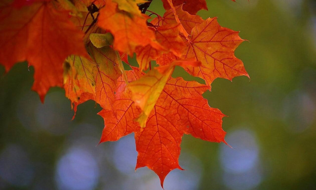 Ο φετινός Σεπτέμβριος ήταν ο πιο ζεστός στα μετεωρολογικά χρονικά παγκοσμίως από το 1880