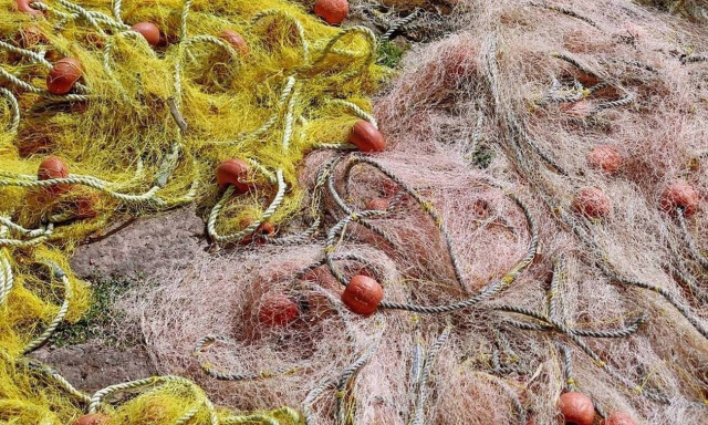 Τρόμος για Έλληνα ψαρά: Φονικά ψάρια στα δίχτυα του – Δείτε τι έβγαλε (pics)