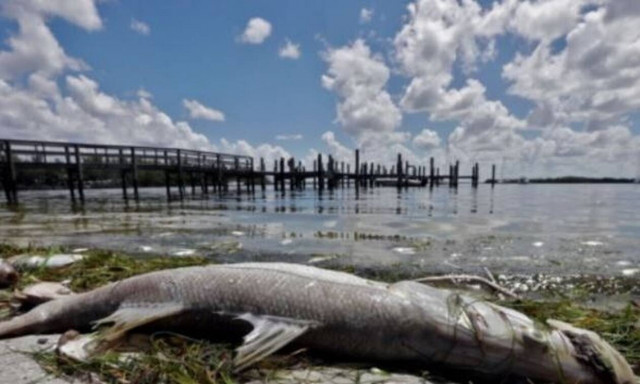 Το τρομερό «τέρας» που απειλεί στις ακτές των ΗΠΑ! (vid)