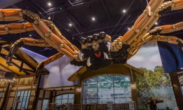 Αυτή η αράχνη είναι η πιο διασκεδαστική που έχεις δει ποτέ