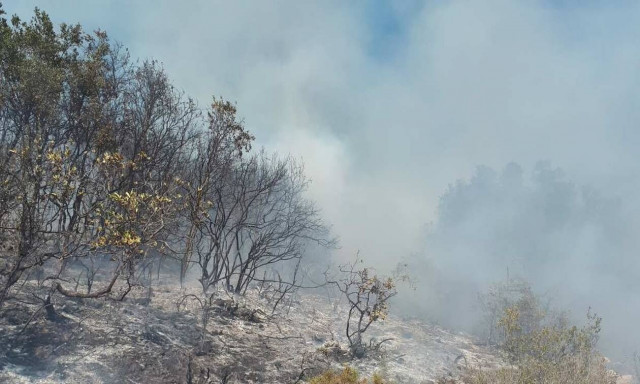 Φωτιά ΤΩΡΑ στους Γαργαλιάνους Μεσσηνίας