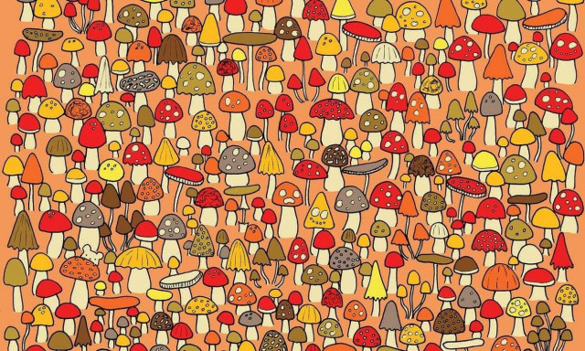 Κάπου κρύβεται ένα ποντικάκι - Μπορείτε να το βρείτε; (pics)