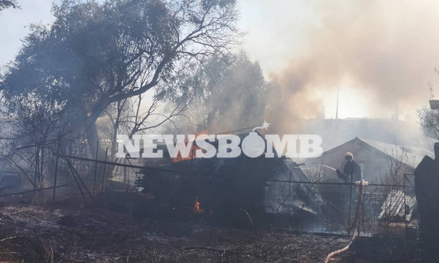 Φωτιά σε φυτώριο στην Κηφισιά (pics+vids)