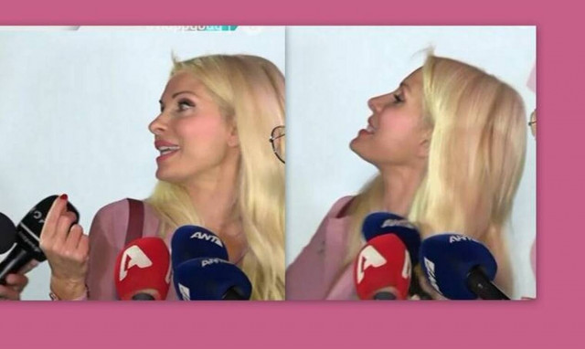 Ελένη Μενεγάκη: Η ερώτηση δημοσιογράφου που την «τρέλανε»