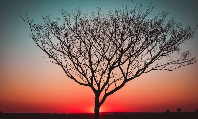 Αν ανοίξεις τα μάτια σου, σίγουρα θα νομίσεις ότι έχεις ξυπνήσει στον παράδεισο