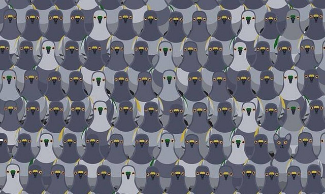 Απόλυτη πρόκληση! Μπορείτε να βρείτε την γάτα σε λιγότερο από 18 δευτερόλεπτα; (pics)