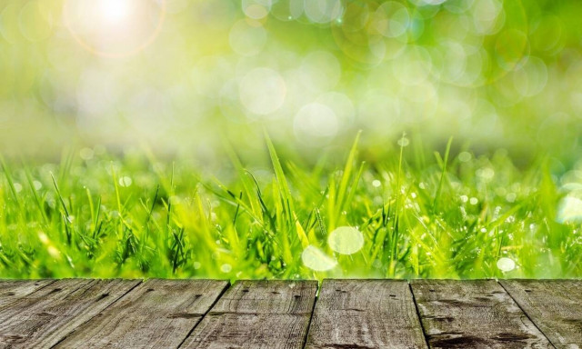 Σοκ για οικογένεια  – Δείτε τι έπεσε από το διάστημα στην αυλή του σπιτιού της (photos)