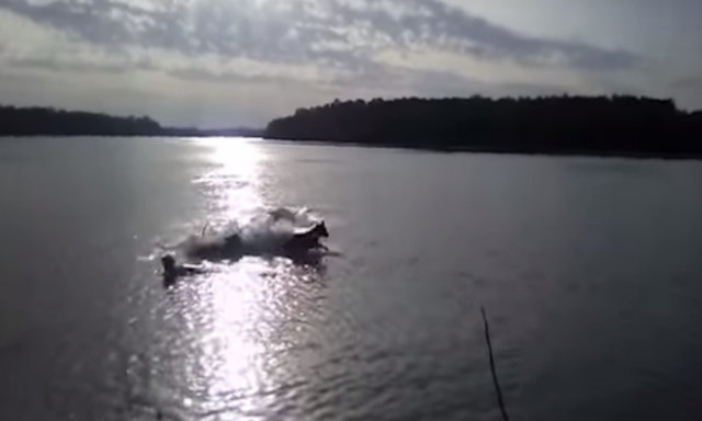 Φρίκη: Κροκόδειλος κατασπαράζει σκύλο μπροστά στα μάτια του ιδιοκτήτη του! (video)