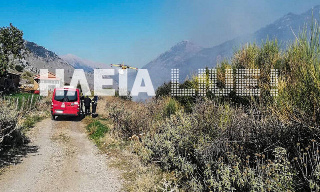 Φωτιά ΤΩΡΑ στην Ηλεία