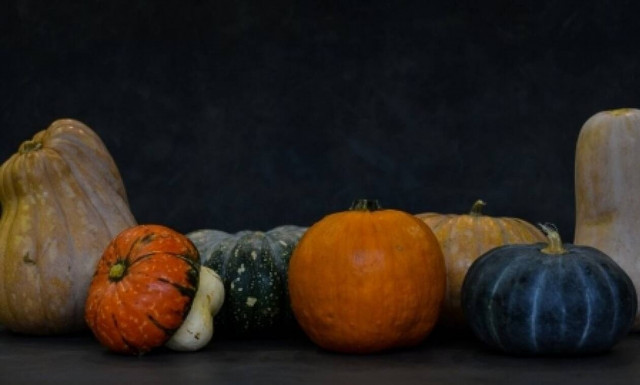 Ο γευστικός κόσμος της κολοκύθας