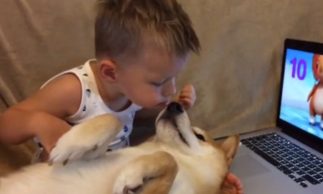 Ραγίζει καρδιές η κίνηση του μπόμπιρα στον σκύλο! (vid)