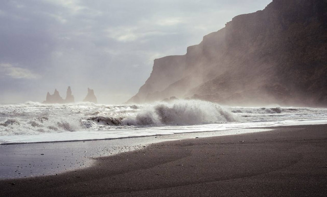 Τρόμος σε παραλία: Ούρλιαζαν με αυτό που ξέβρασε η θάλασσα (pics)