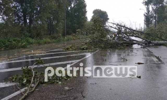 Καιρός: Κλειστή η εθνική οδός Πατρών - Πύργου από πτώση δέντρων 