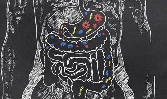 Ποιοι είναι οι παράγοντες που μπορούν να επηρεάσουν τη λειτουργία του εντέρου 