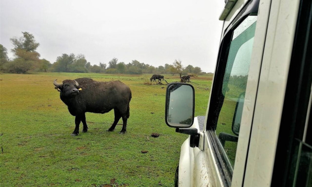 Ανακαλύψαμε το γαλακτικό χωριό και το ξεχωριστό «μαγικό φίλτρο»