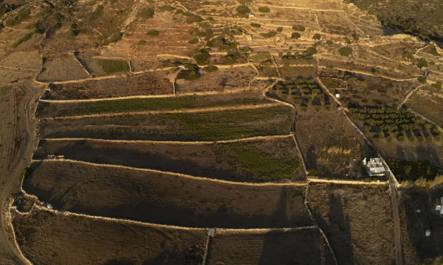 Κτηματολόγιο: Ποια είναι τα νέα μέτρα - Ποιες υπηρεσίες θα παρέχονται ψηφιακά