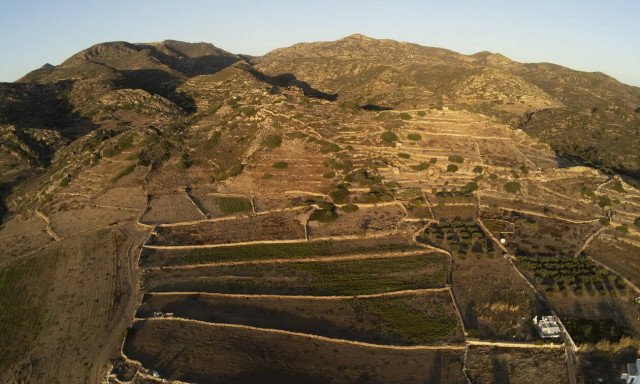 Κτηματολόγιο: Έρχονται πρόστιμα για τη μη υποβολή δηλώσεων