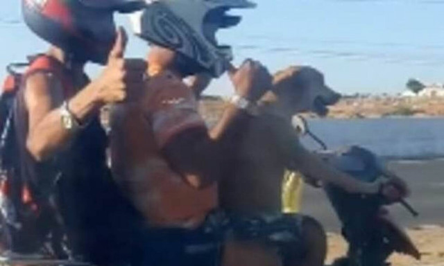 Σκύλος οδηγάει κανονικότατα μηχανάκι! (video)