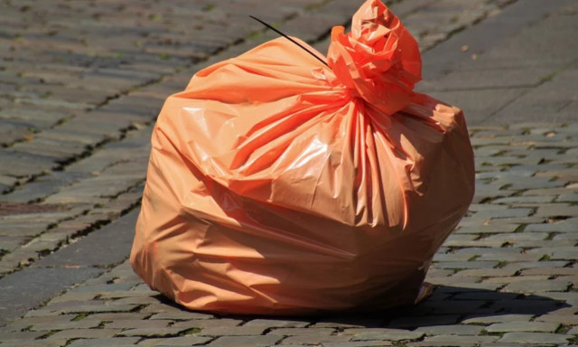 Φρίκη: 19χρονη εγκατέλειψε το μωρό μέσα σε σακούλα - Το έφαγαν τα σκυλιά (pics)