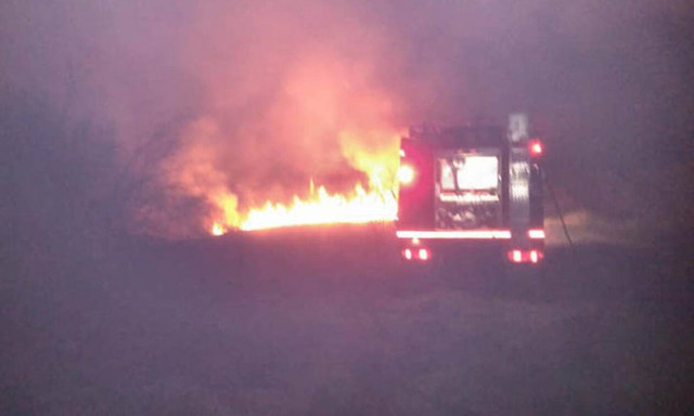 Συναγερμός στην Πυροσβεστική: Φωτιά στον Μαραθώνα (pics)