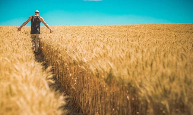 Επίδομα ΟΓΑ: Σε ποιές περιπτώσεις χορηγείται σε ανασφάλιστους ηλικιωμένους