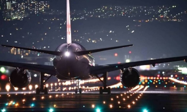 Τρόμος σε πτήση: Αυτό που μπήκε στο αεροπλάνο προκάλεσε πανικό (photos)