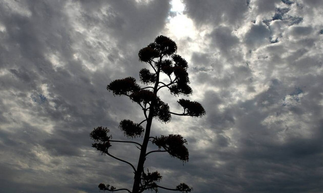 Weather forecast: Scattered clouds on Saturday