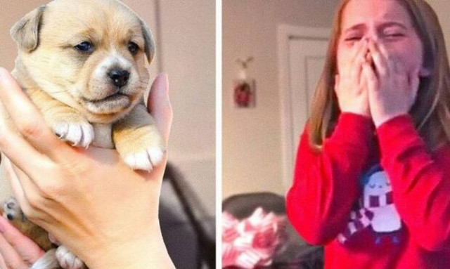 Χάρισαν στην μικρή ένα κουταβάκι και η αντίδρασή της ραγίζει καρδιές! (vid)