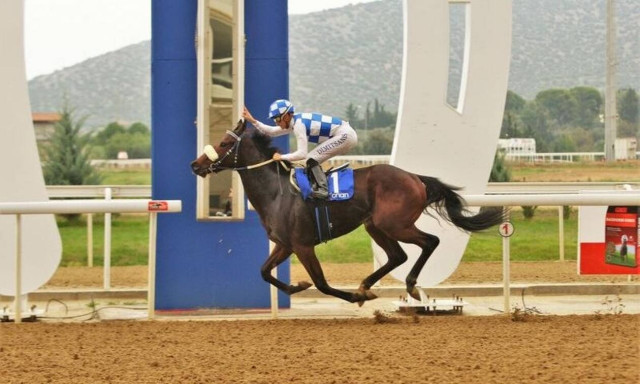 Το Κύπελλο Κένταυρων μονοπώλησε το ενδιαφέρον του κόσμου στο Markopoulo Park
