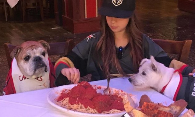 Αυτό το μπουλντόγκ είναι μακαρονάς! Τι να κάνουμε; (vid)