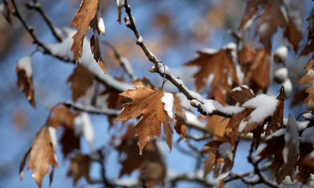 Καιρός - Προειδοποίηση Καλλιάνου: Έρχεται χειμώνας για... 30 ώρες - Πού θα χιονίσει