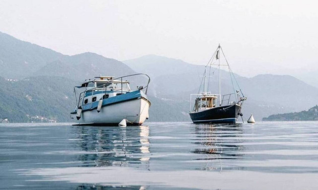 «Πάγωσε» ο ψαράς όταν σήκωσε το καλάμι του - Δείτε το απόκοσμο πλάσμα που έβγαλε