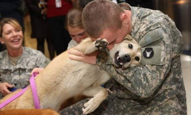 Φαντάρος γυρίζει από τον πόλεμο κι ο σκύλος του ξεσαλώνει! (vid)